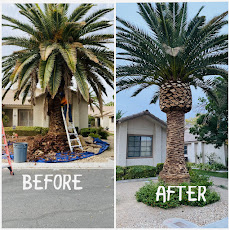 Featured Las Vegas landscaping project 1